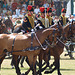 Musical Drive Kings Troop Royal Horse Artillery 14