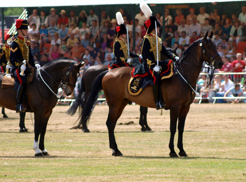 Musical Drive Kings Troop Royal Horse Artillery 10