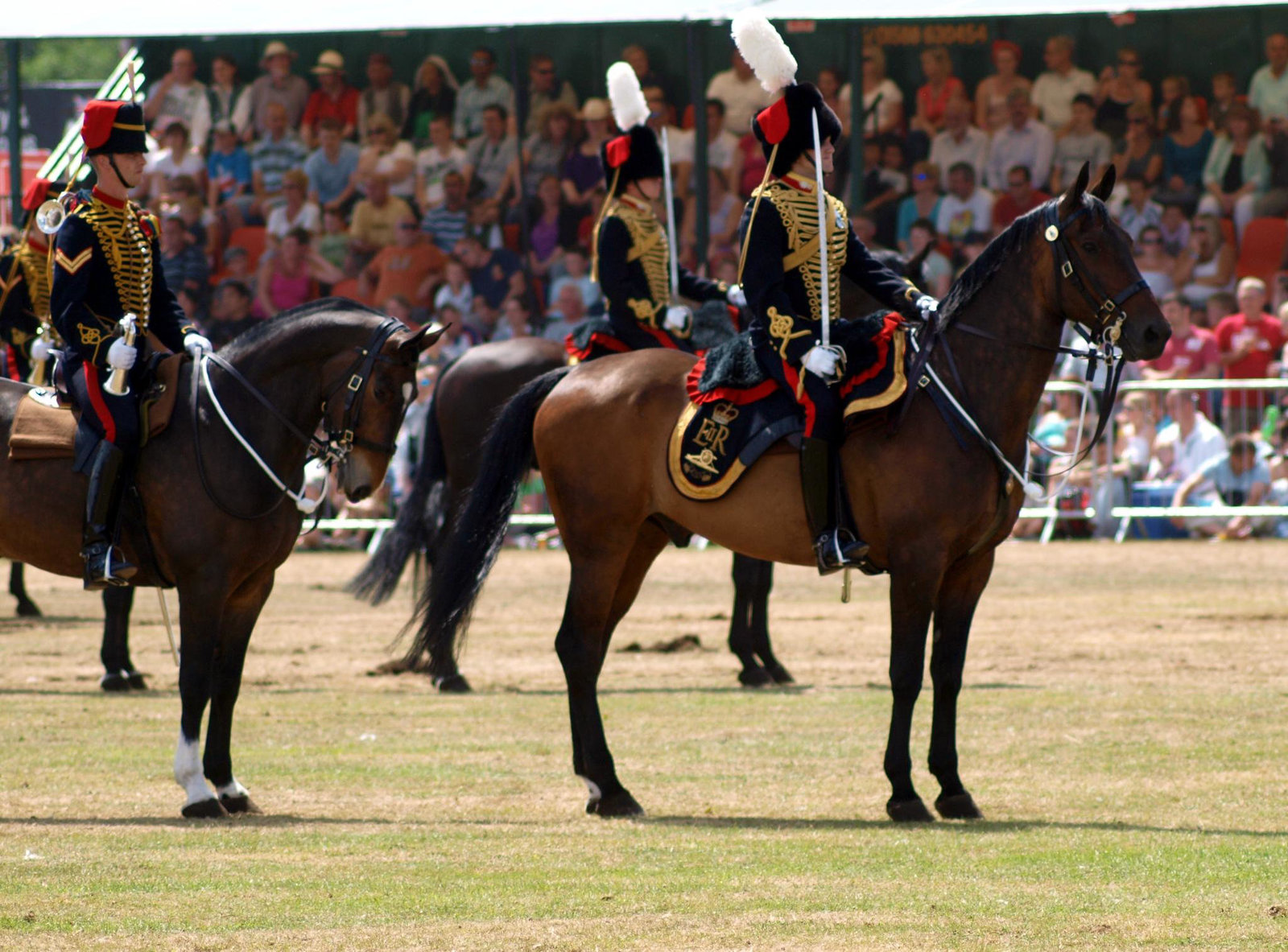 Musical Drive Kings Troop Royal Horse Artillery 10