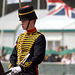 Musical Drive Kings Troop Royal Horse Artillery 9
