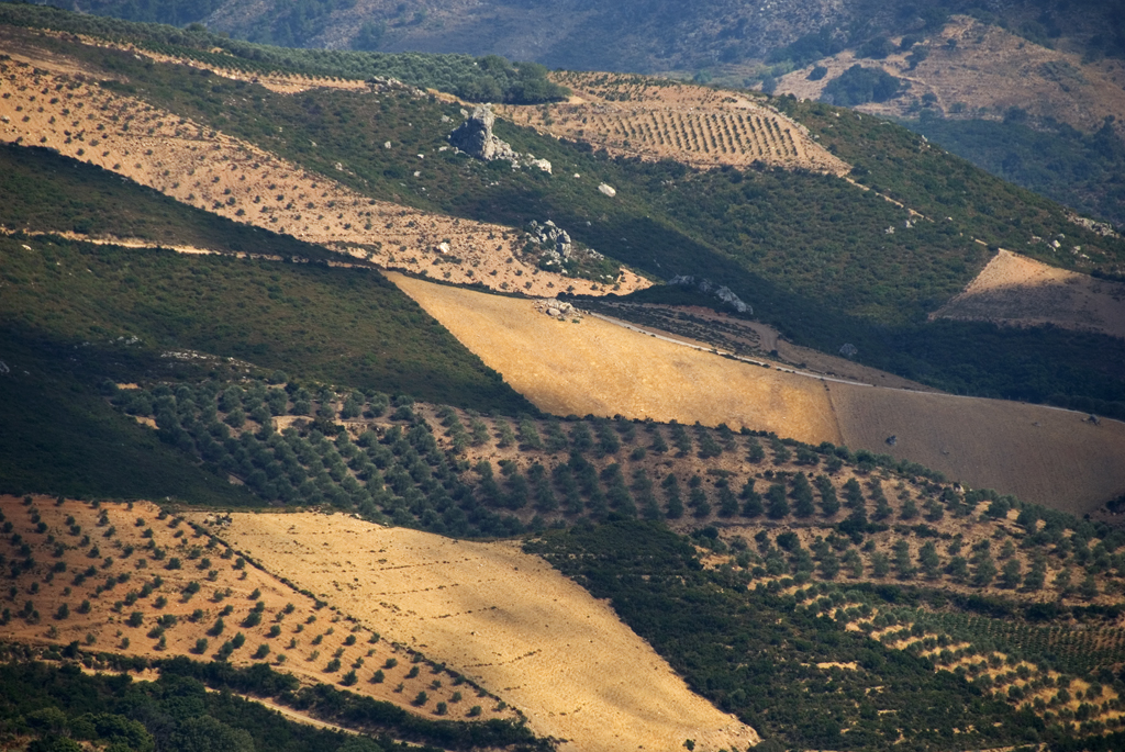 Landscape between light and shadow