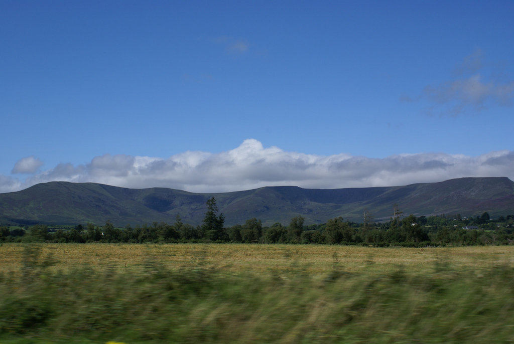 DSC09423