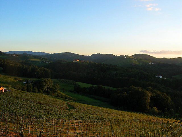 Abenddämmerung über den Weinbergen der Steiermark