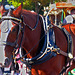 It's a horse's life at Disneyworld...Pseudo-HDR