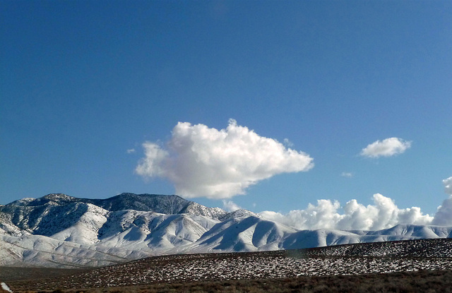 Panamint Snow (3092)