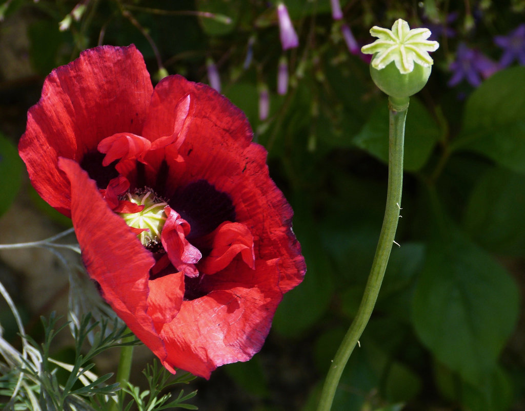 ...bonne fin de semaine...