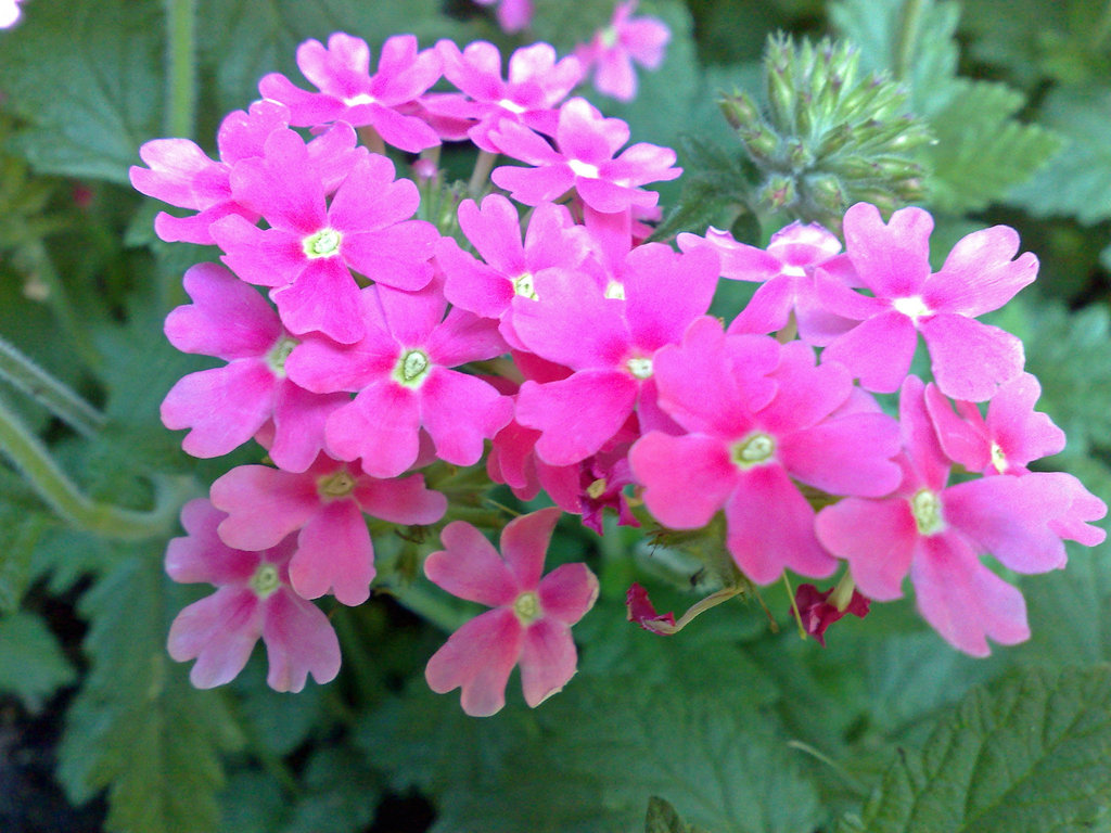 22062008117 edited