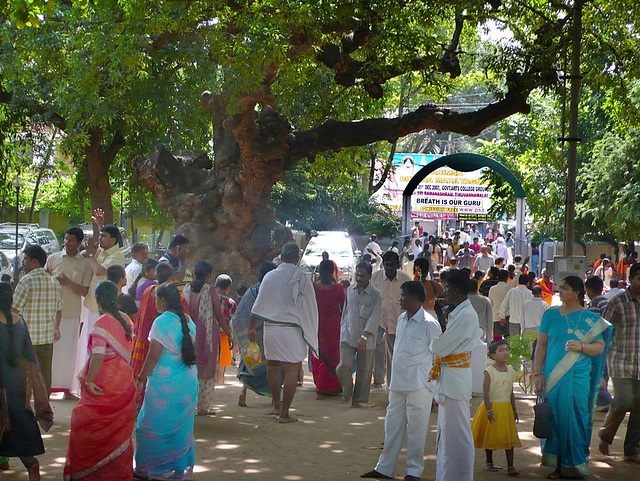 Ashram Ramana