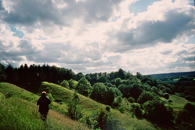 Wanderung im Vejle- Aa