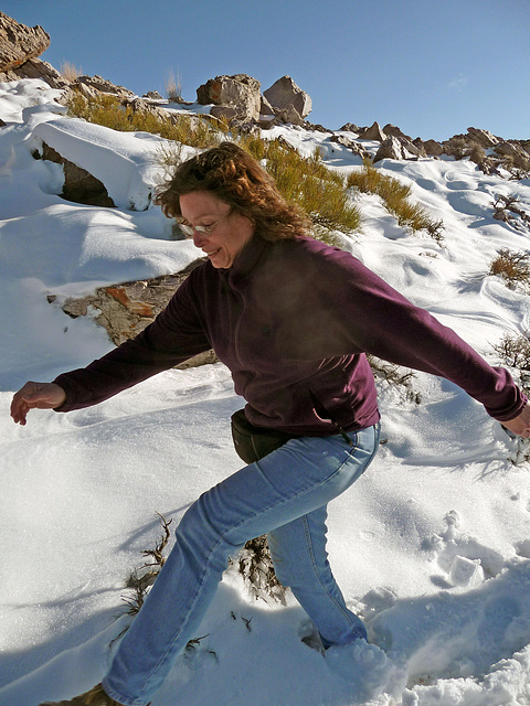 Aguereberry Point - Michelle Striding (3103)