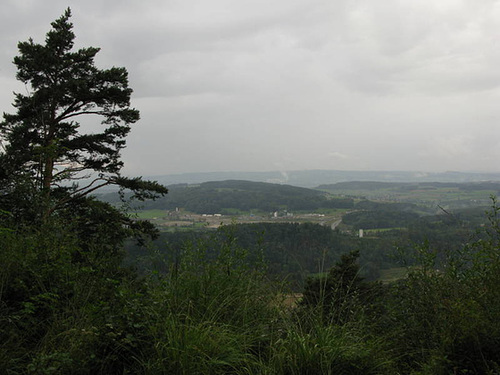 IMG 0607