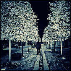 down the alley