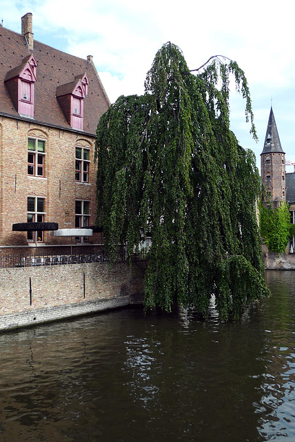 Bruges Canal 11