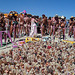 World Naked Bike Ride - Barbie Death Camp (0665)