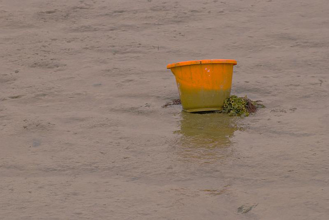 Hilsea Creek - Orange Bucket