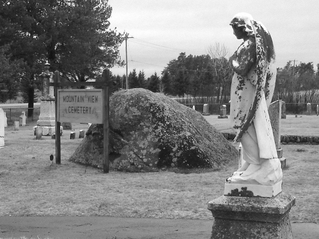 Mountain view cemetery. Saranac lake area.  NY. USA . March 29th 2009 -  B & W