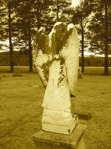 Mountain view cemetery. Saranac lake area.  NY. USA . March 29th 2009-  Sepia