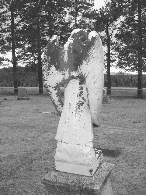 Mountain view cemetery. Saranac lake area.  NY. USA . March 29th 2009  -  B & W