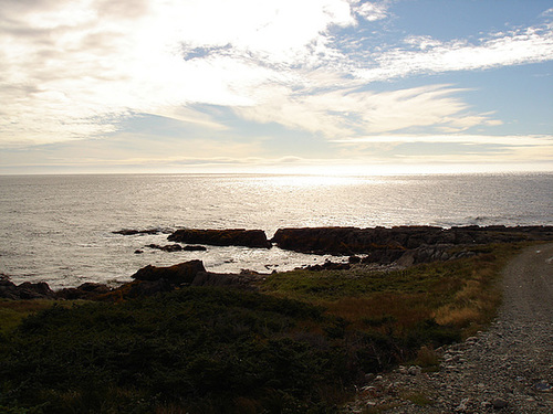 Coucher Terre-Neuvien