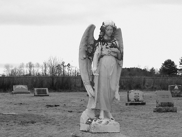 Mountain view cemetery. Saranac lake area.  NY. USA . March 29th 2009  - B & W