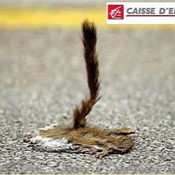 La crise n'épargne personne