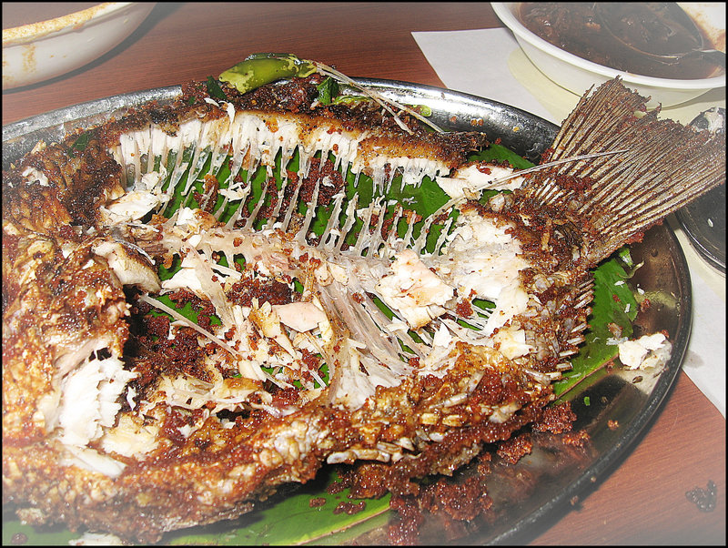 Enjoyable fish