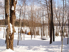 Petit pont et cabane de luxe - Footbridge and luxurious shack