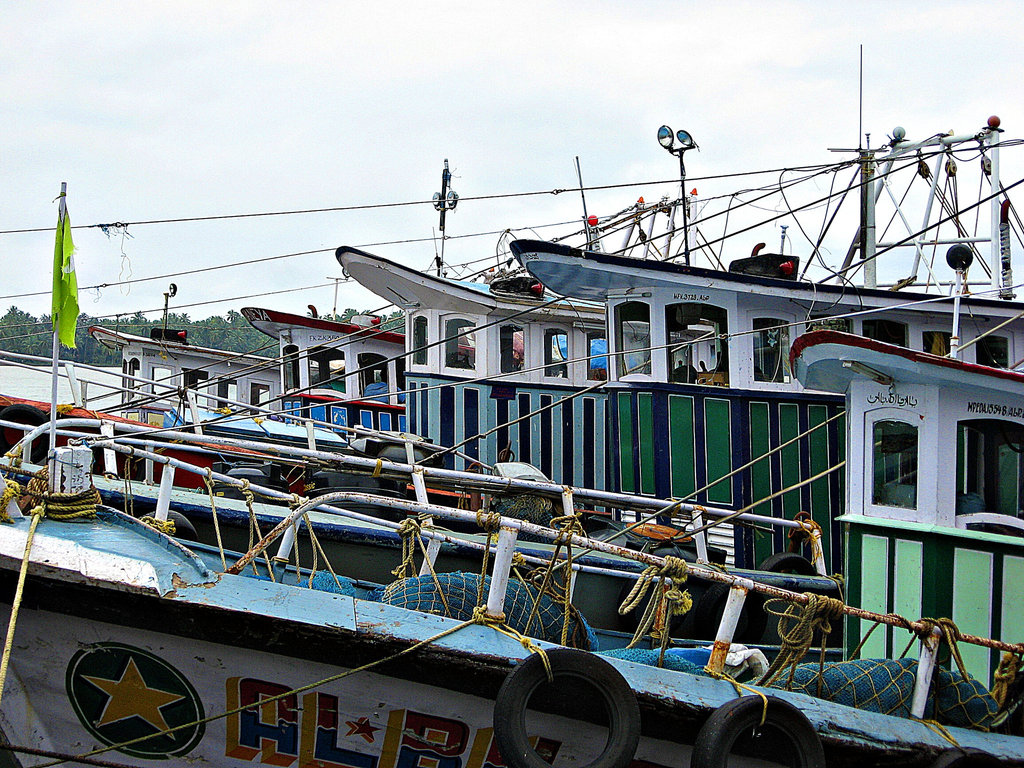 Fishing fleet