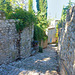 Vaison-la-Romaine Provence