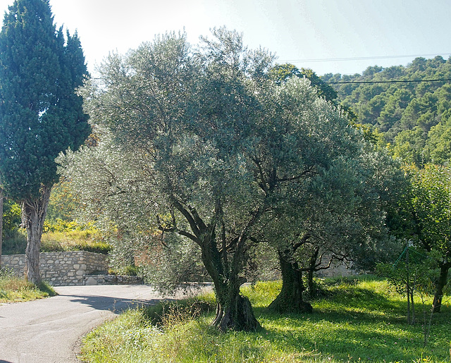 Crestet Provence Crestet Provence