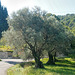 Crestet Provence