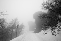 Nebel am Hohen Schneeberg (Decinsky Snesznik)