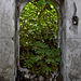 Door to the green jungle.....