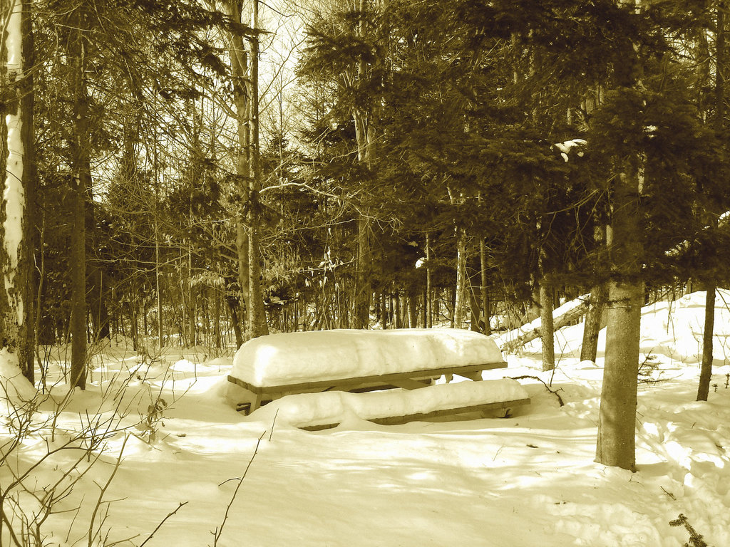 Pique-nique blanc dans le froid  / Cold and white picnic time - 6 février 2009 / Sepia.