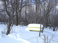 Pique-nique blanc dans le froid  / Cold and white picnic time - 06-02-2009 .