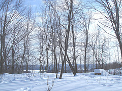 Pique-nique blanc dans le froid  / Cold and white picnic time - 06-02-2009 .