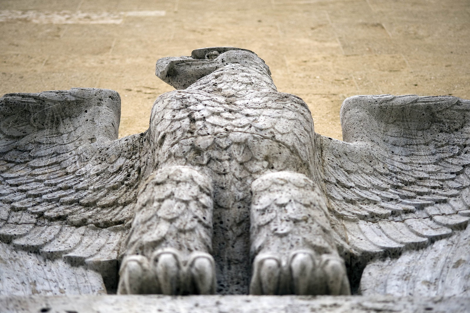 Eagle