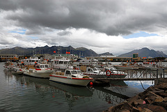 The harbour in Höfn