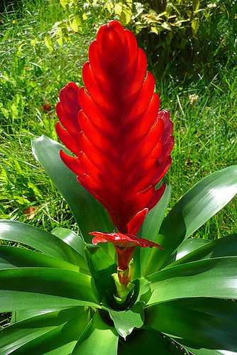 Ostrau - Rundgang - Häuser - Blumen - Bellevue