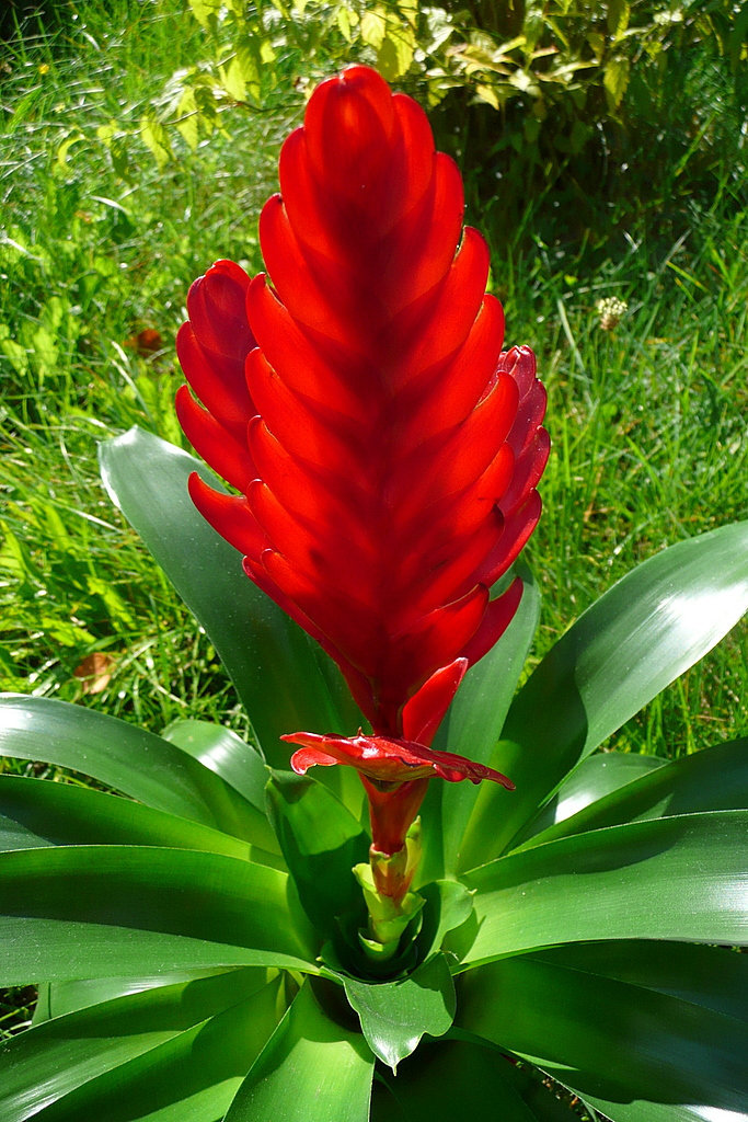 Ostrau - Rundgang - Häuser - Blumen - Bellevue