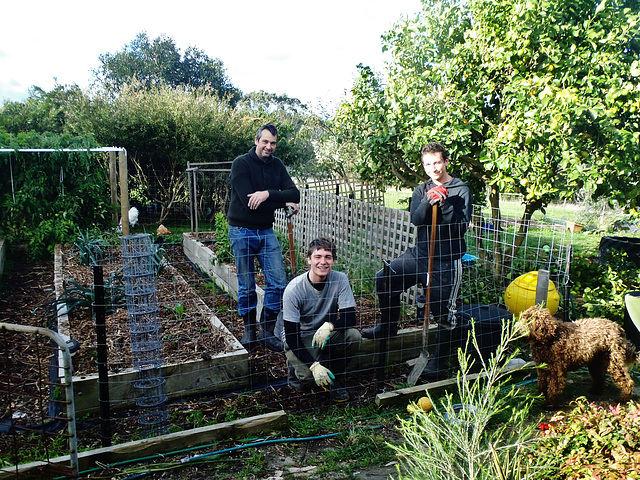 new vegie garden fence