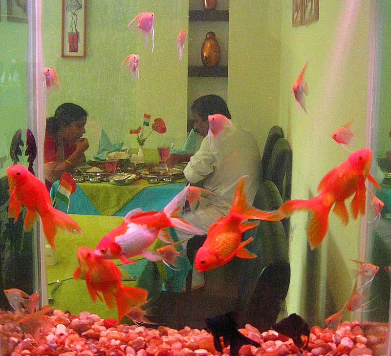 Lunch at Quilandi