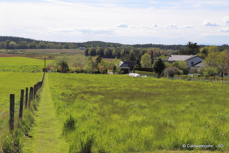 The Hayfield