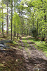 Blervie Estate Woodland Walk