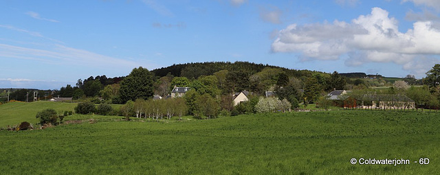 Early summer in Moray