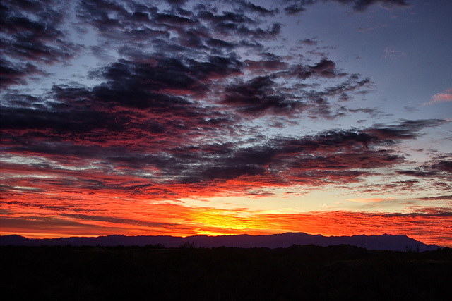 Sunrise Over The Mules