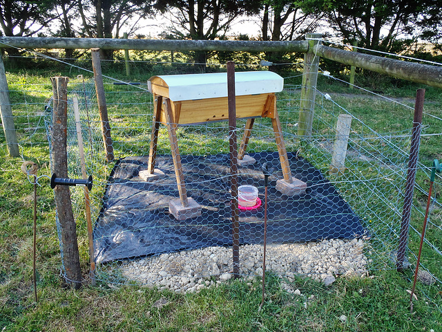 our top bar hive