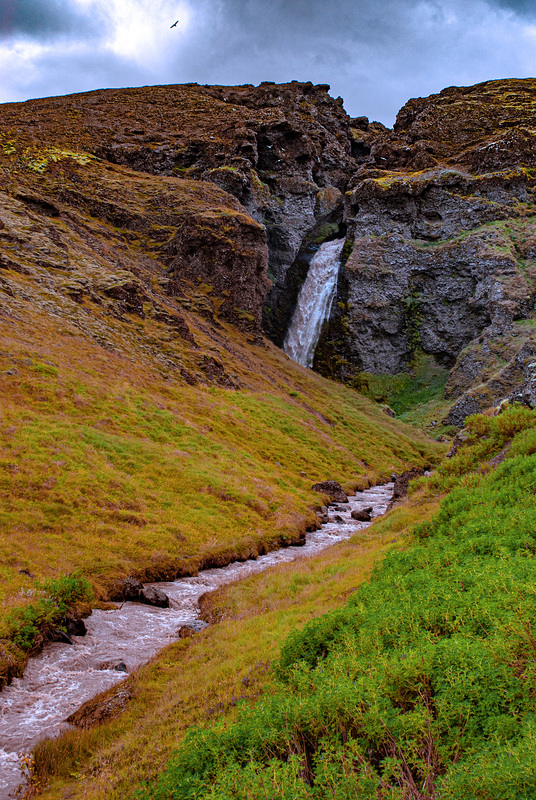 Svartifoss (The Black Waterfall)