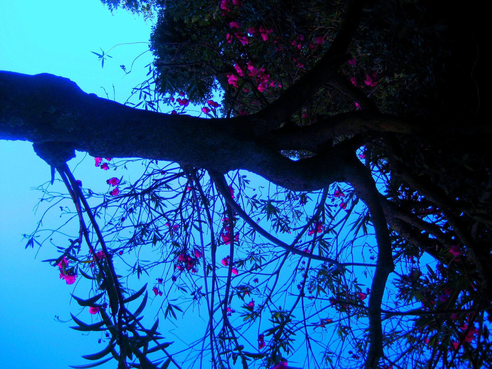 Lisboa, small garden somewhere, lying on the grass (2)