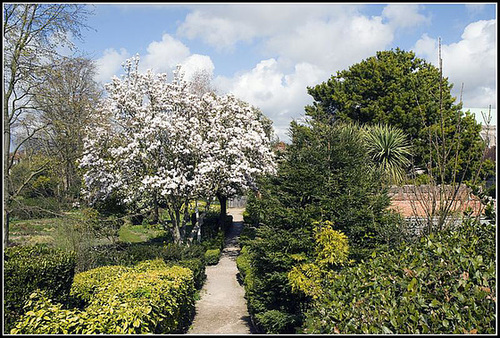 Cathedral Gardens Chichester